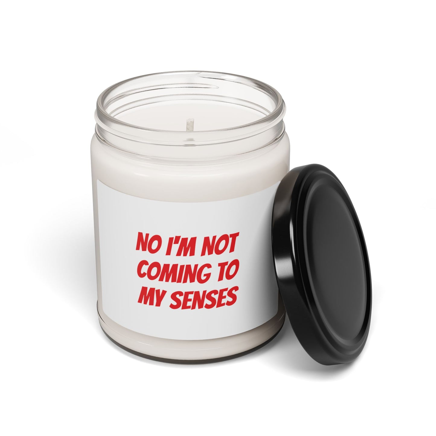 No I'm Not Coming To My Senses Scented Soy Candle, 9oz