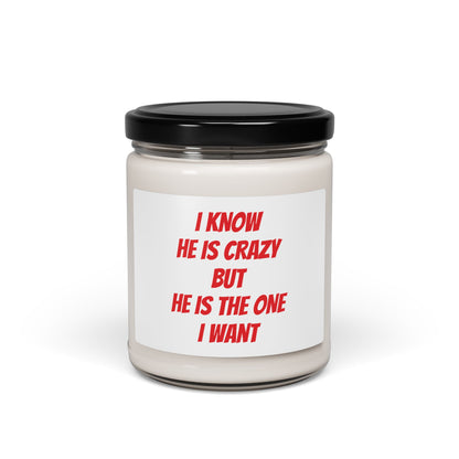 He Is The One I Want Scented Soy Candle, 9oz