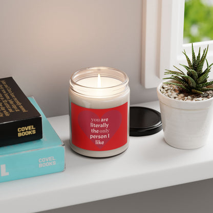 You're Literally The Only Person I Like Scented Soy Candle, 9oz